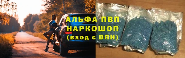 спиды Горно-Алтайск