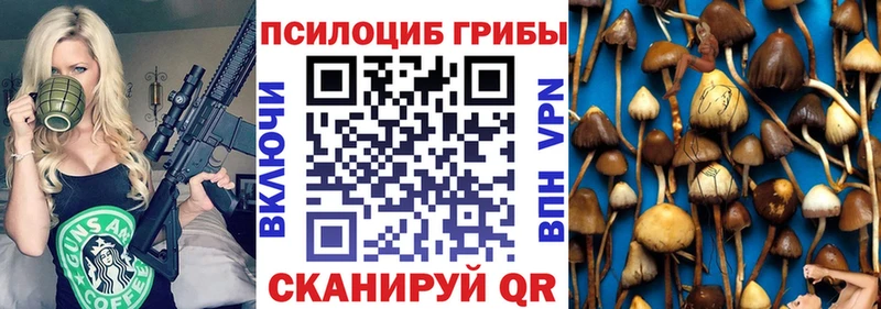 Купить  Котовск  Галлюциногенные грибы прущие грибы 