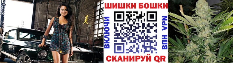 Купить закладки  Котовск  Бошки Шишки Amnesia 